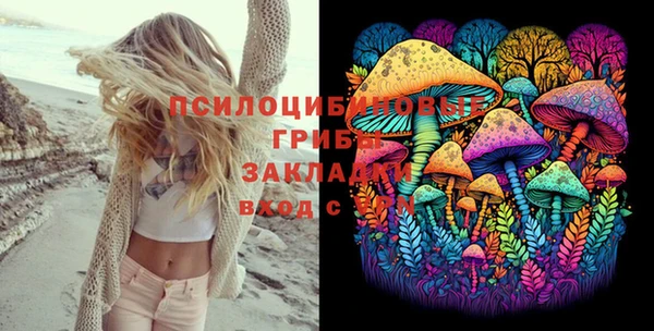 прущий лед Бронницы
