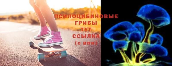 прущие грибы Бородино