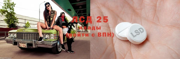 прущие грибы Бородино