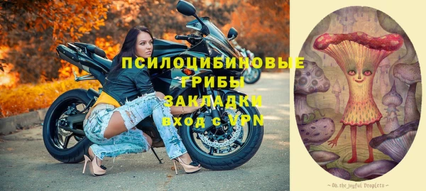 прущие грибы Бородино