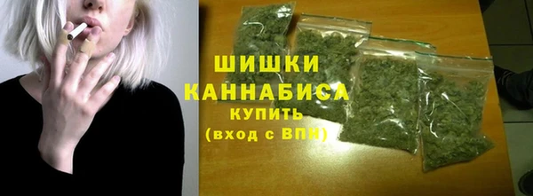 прущие грибы Бородино