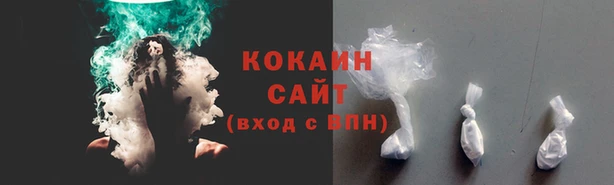 прущие грибы Бородино
