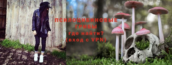 прущие грибы Бородино