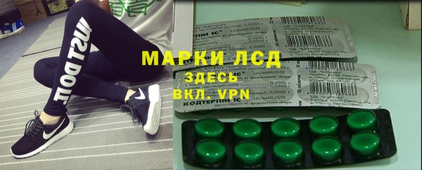 прущие грибы Бородино