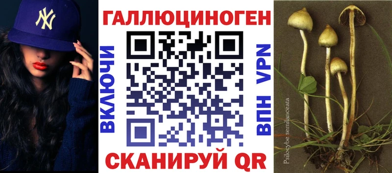 Псилоцибиновые грибы прущие грибы  Купить где  Духовщина 